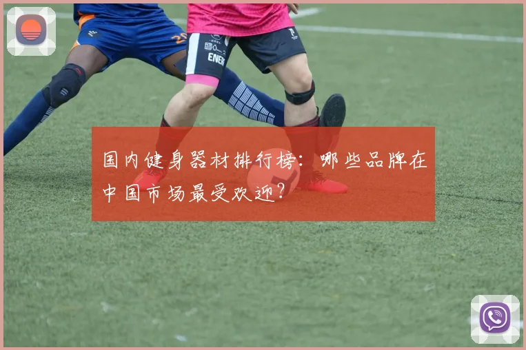 国内健身器材排行榜：哪些品牌在中国市场最受欢迎？