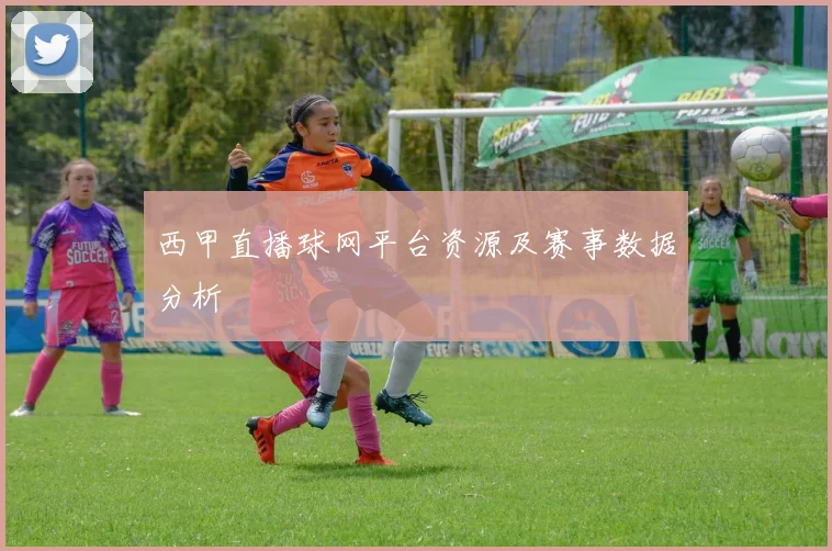 西甲直播球网平台资源及赛事数据分析