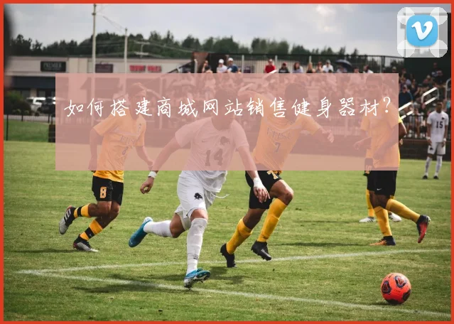 如何搭建商城网站销售健身器材？