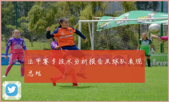 法甲赛季技术分析报告及球队表现总结