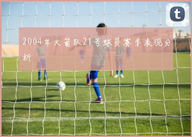 2004年火箭队21号球员赛季表现分析