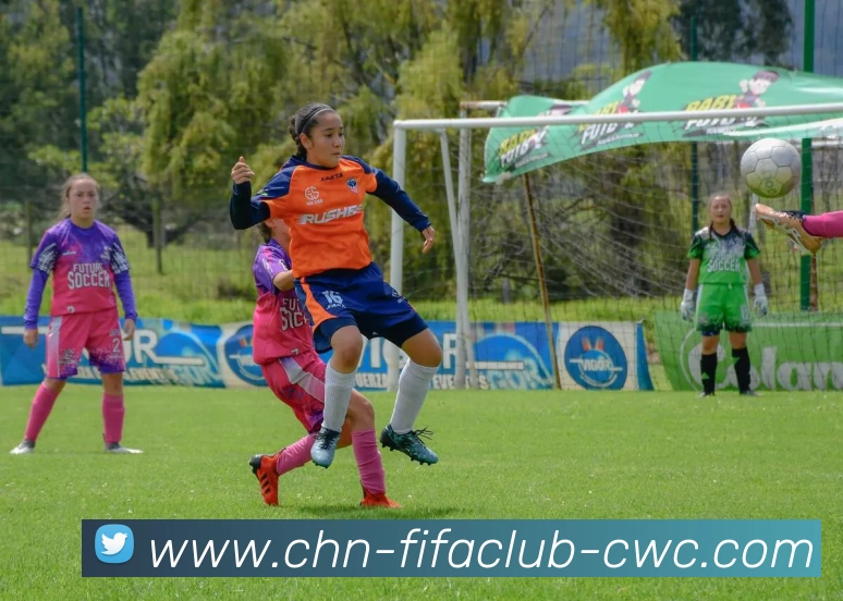 世界杯买球服务体系